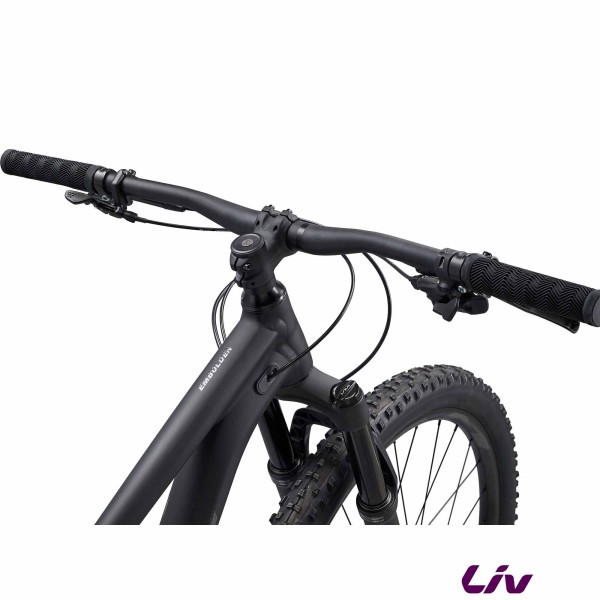 LIV Embolden 1 Black guidon