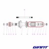 Corps de cassette GIANT Roam 1 Rove 1 2025 pièces détachées