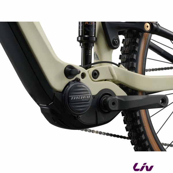 LIV Embolden E+ 1 2027 moteur