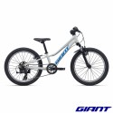 GIANT Talon 20