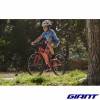 VTT GIANT ARX 24 enfant