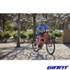 VTT GIANT ARX 24 velo enfant