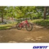 VTT GIANT ARX 24 velo foret