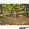 VTT GIANT ARX 24 promenade enfant