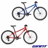 VTT GIANT ARX 24