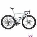 Enviliv Advanced SL 0 Red Prism Pearl 2027