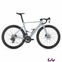 Enviliv Advanced Pro 1 AXS Supernova Grey 2027