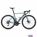 Enviliv Advanced 2 Midnight Pine 2027