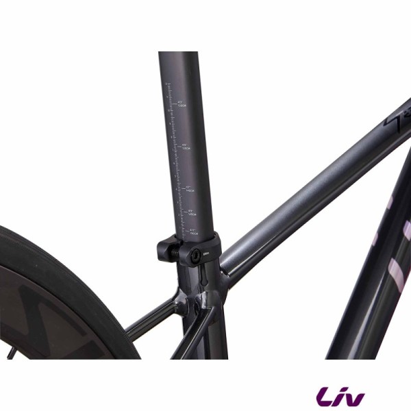 Seek 1 LIV 2026 - VELOSEINE