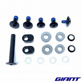 Kit roulements & axe supérieur GIANT Reign Advanced E+ 2026