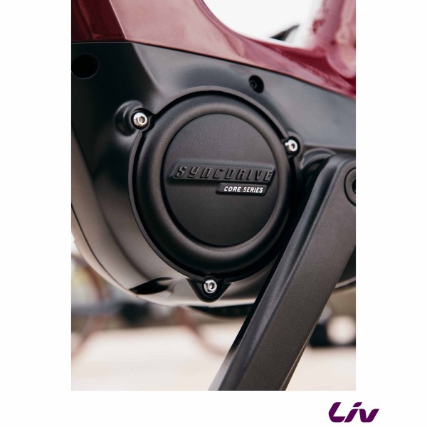 Flourish E+1 Cabernet yamaha