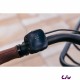 Flourish E+1 Cabernet compteur