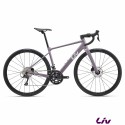 Beliv SL 2 2027 Moonberry