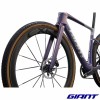 Revolt Advanced SL 1 2027 Tempest Purple roues carbone
