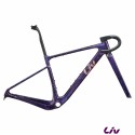Kit cadre LIV Devote Advanced SL 2027