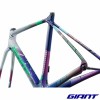 Kit cadre GIANT TCR Advanced Pro 2027 Toxic Pulse cyclisme
