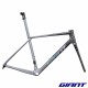 Kit cadre GIANT TCR Advanced SL 2027 Graphite Storm