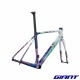 Kit cadre GIANT TCR Advanced Pro 2027 Toxic Pulse carbone