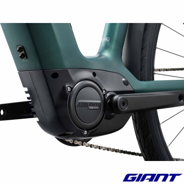 NewTour E+3 2027 Kelp Forest moteur