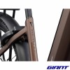 AnyTour X E+ 0 2027 Truffle couleur