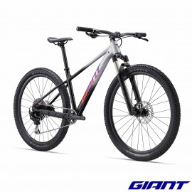 Talon 1 2027 Gris Noir