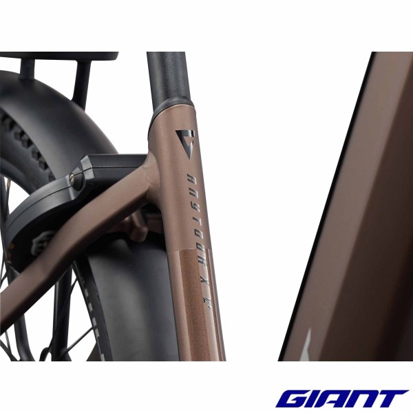 AnyTour X E+ 0 2027 Truffle couleur
