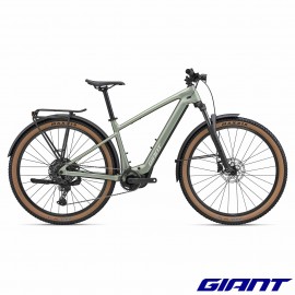 Talon E+ 2 EX 2027 Frost Fern