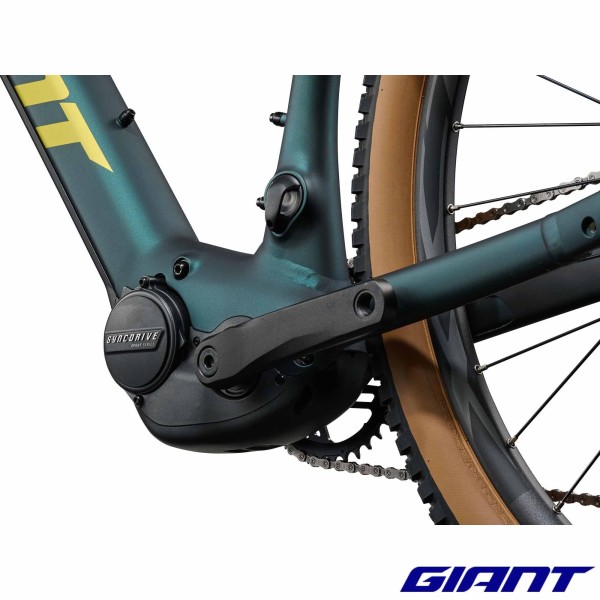Talon E+ 1 2027 Kelp Forest moteur