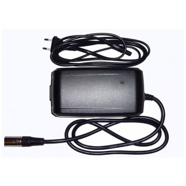 Chargeur batterie Giant 2010-2016 pour vae Giant