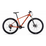 giant terrago 29
