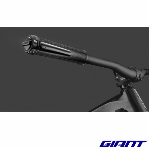 Clutch Bar end Storage GIANT