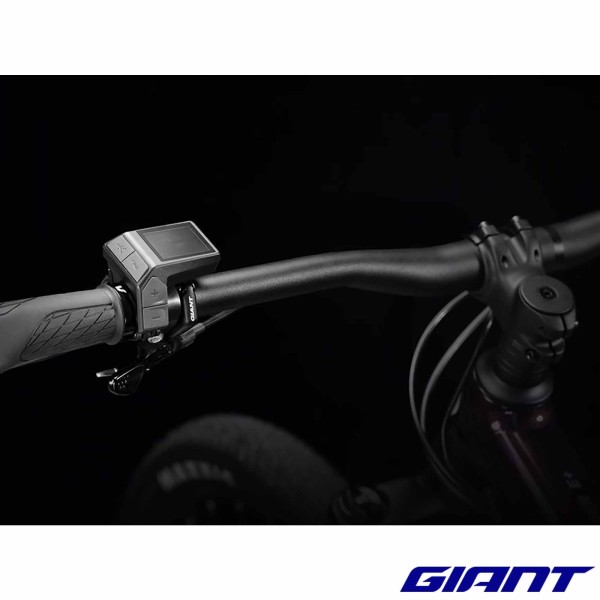 ecran RideControl Dash GIANT 410000145