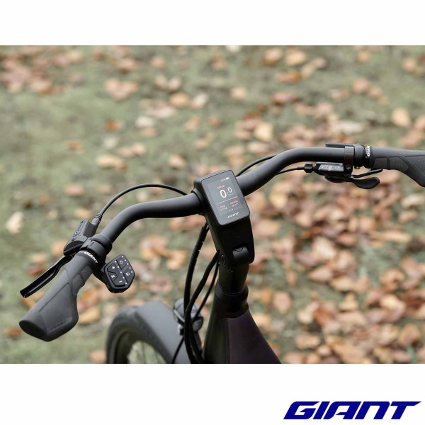 Giant RideControl Ergo 2