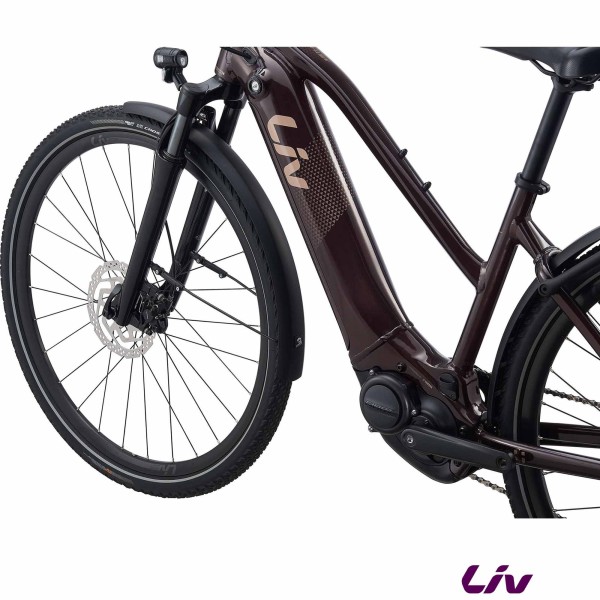 Batterie VAE LIV Amiti E+ 2 2022