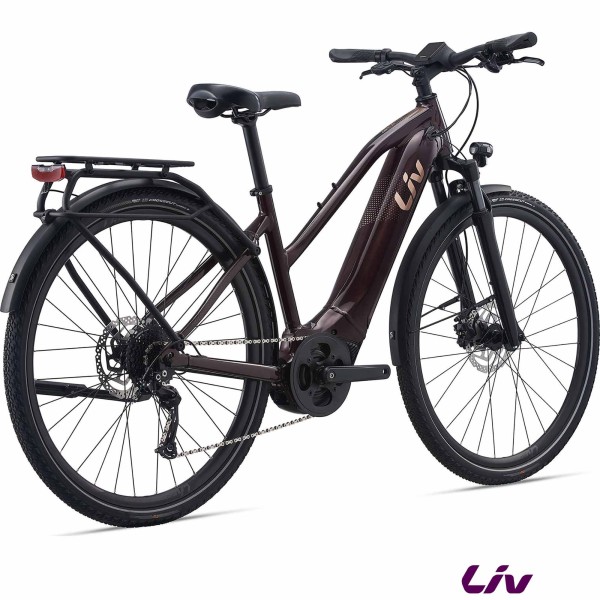 Amiti E+ 2 2022
