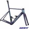 Cadre GIANT Propel Advanced SL Blue Dragonfly 2024