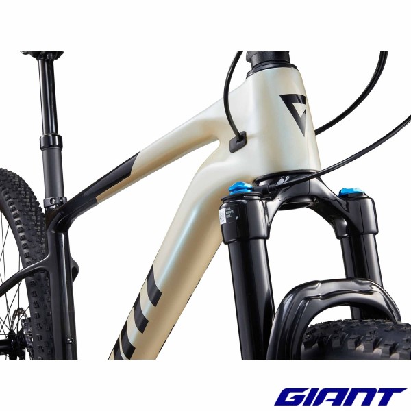 fourche GIANT XTC Advanced 29 1 2024