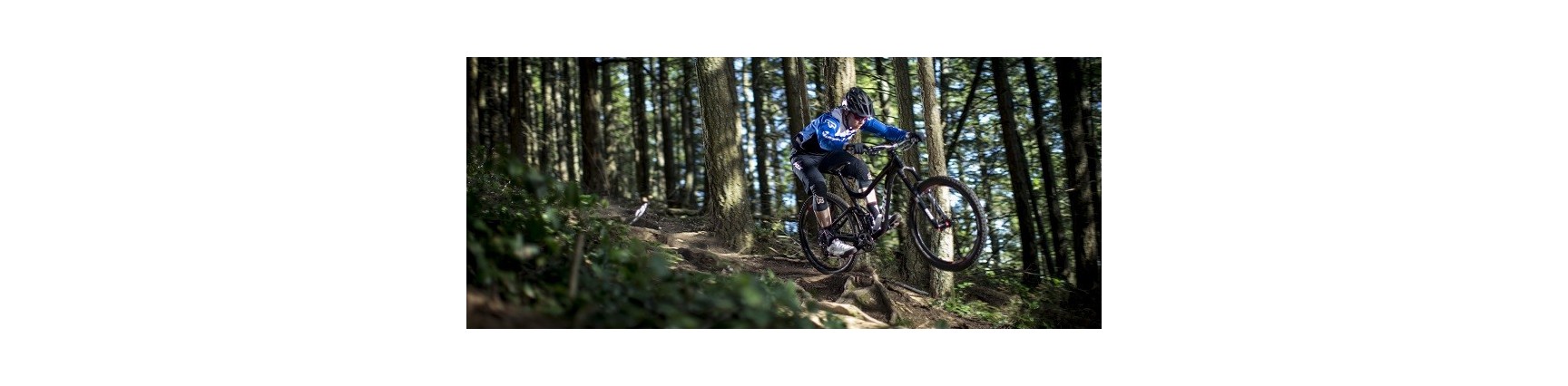 VTT & Cyclo-cross Giant