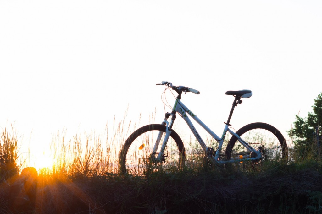 Faire du vélo l'été : comment se préparer aux fortes chaleurs